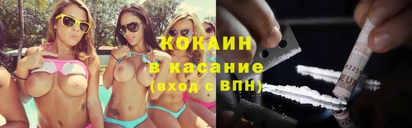 твердый Каменка