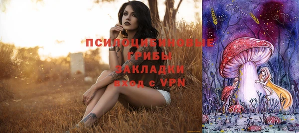 твердый Каменка