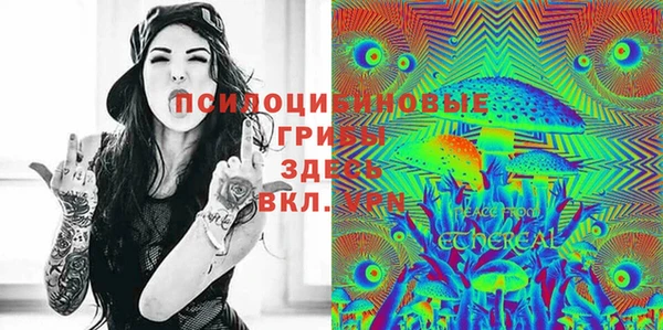 PSILOCYBIN Каменногорск