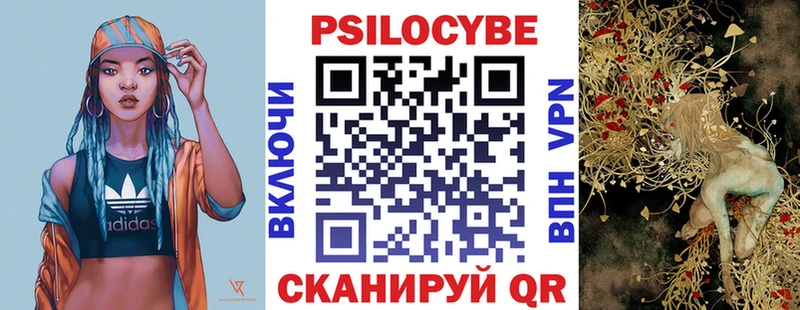 Псилоцибиновые грибы Psilocybe  Купить  Змеиногорск 